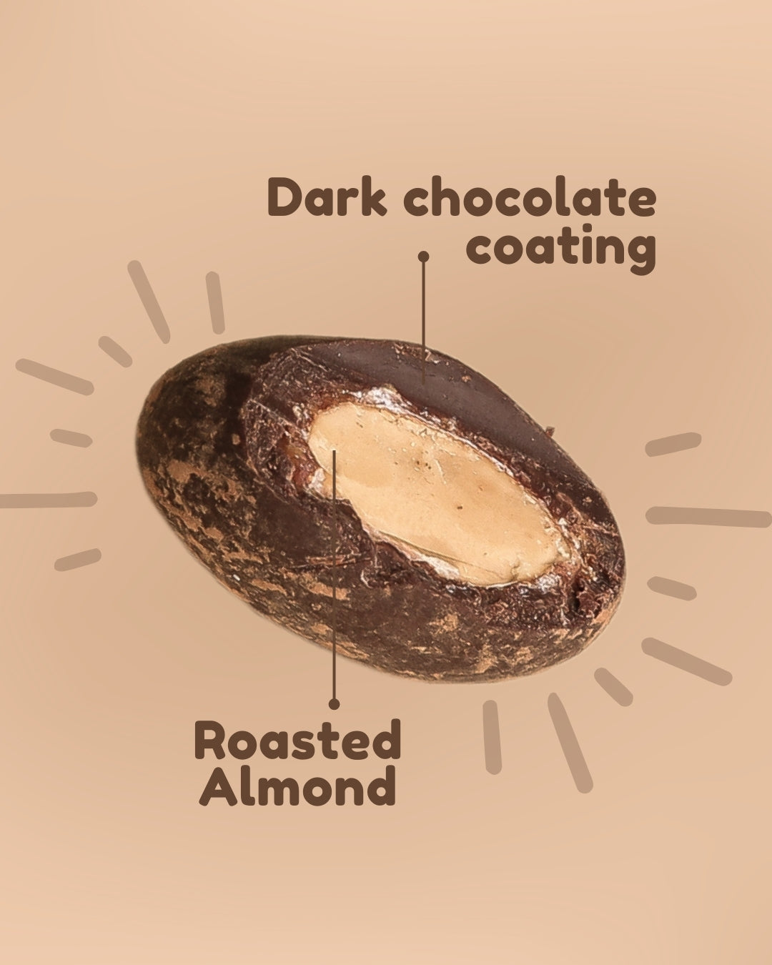 Vegan • Cocoa Butter • No Palm Oil • Artisanal Dark Chocolate-Coated Almonds (50g)