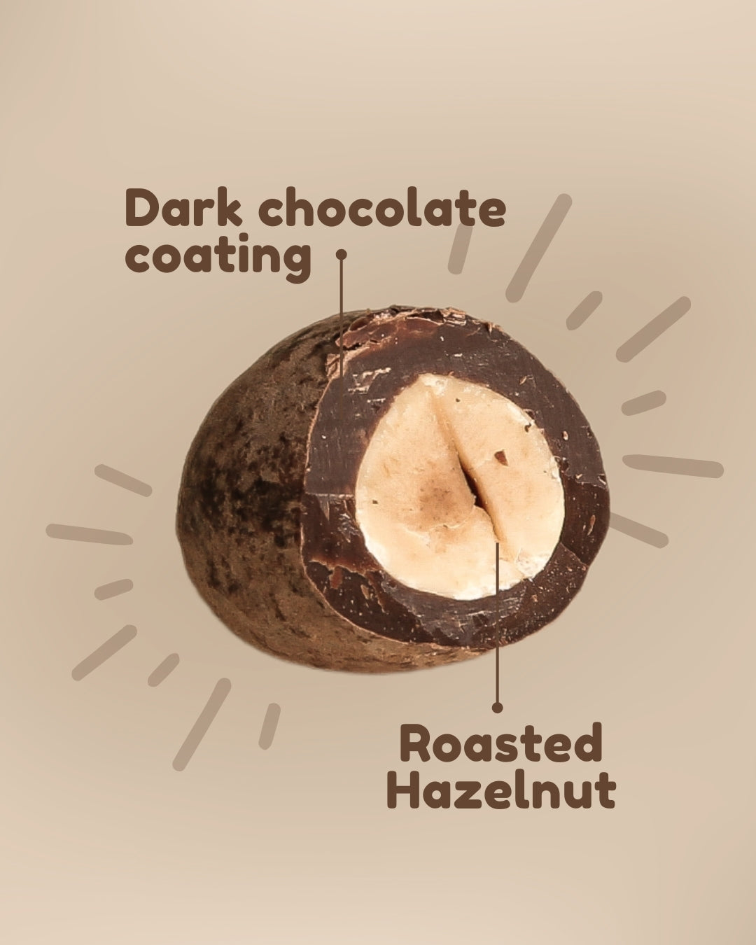 Vegan • Cocoa Butter • No Palm Oil • Artisanal Dark Chocolate-Coated Hazelnuts (50g)